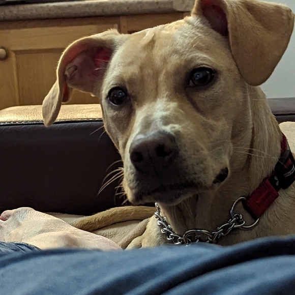 Meet your Posher, Mary - Picture 2 of 8